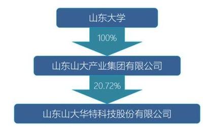 山東國投擬入主山大華特，軟件技術(shù)服務(wù)板塊迎新局